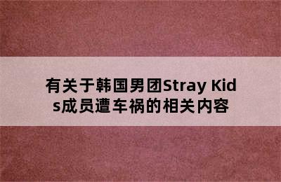 有关于韩国男团Stray Kids成员遭车祸的相关内容